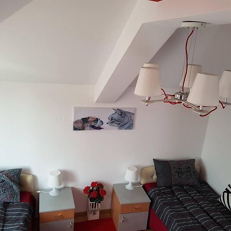 Lux Apartments With Pool Dex Zemun Polje 客房 照片