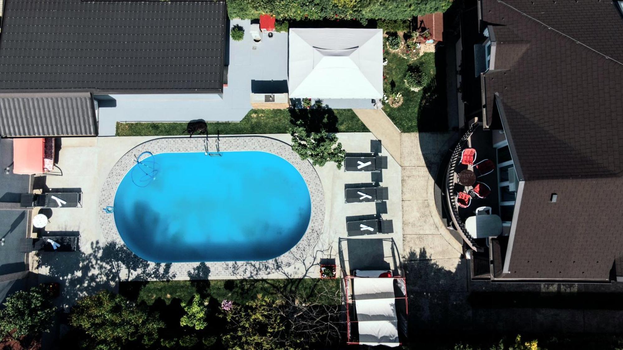 Lux Apartments With Pool Dex Zemun Polje 外观 照片