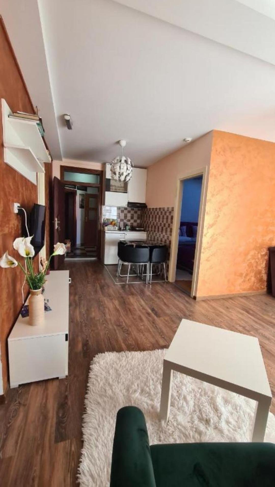 Lux Apartments With Pool Dex Zemun Polje 外观 照片