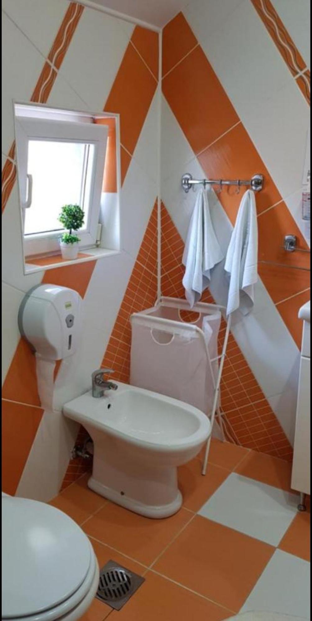 Lux Apartments With Pool Dex Zemun Polje 外观 照片